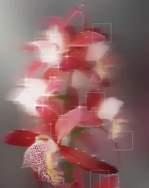 Artwork preview image