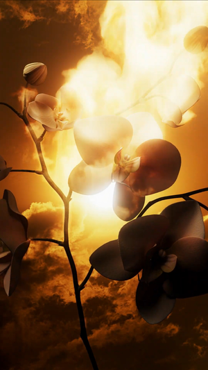 Artwork preview image